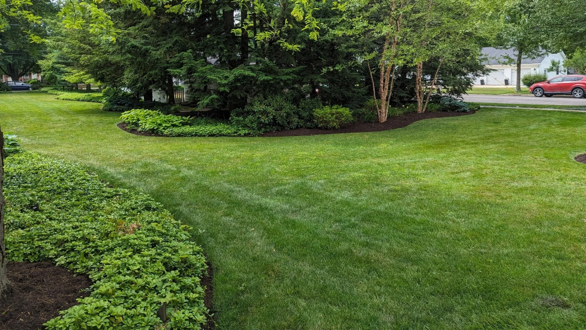 Do You Really Need to Fertilize Your Lawn in the Spring?
