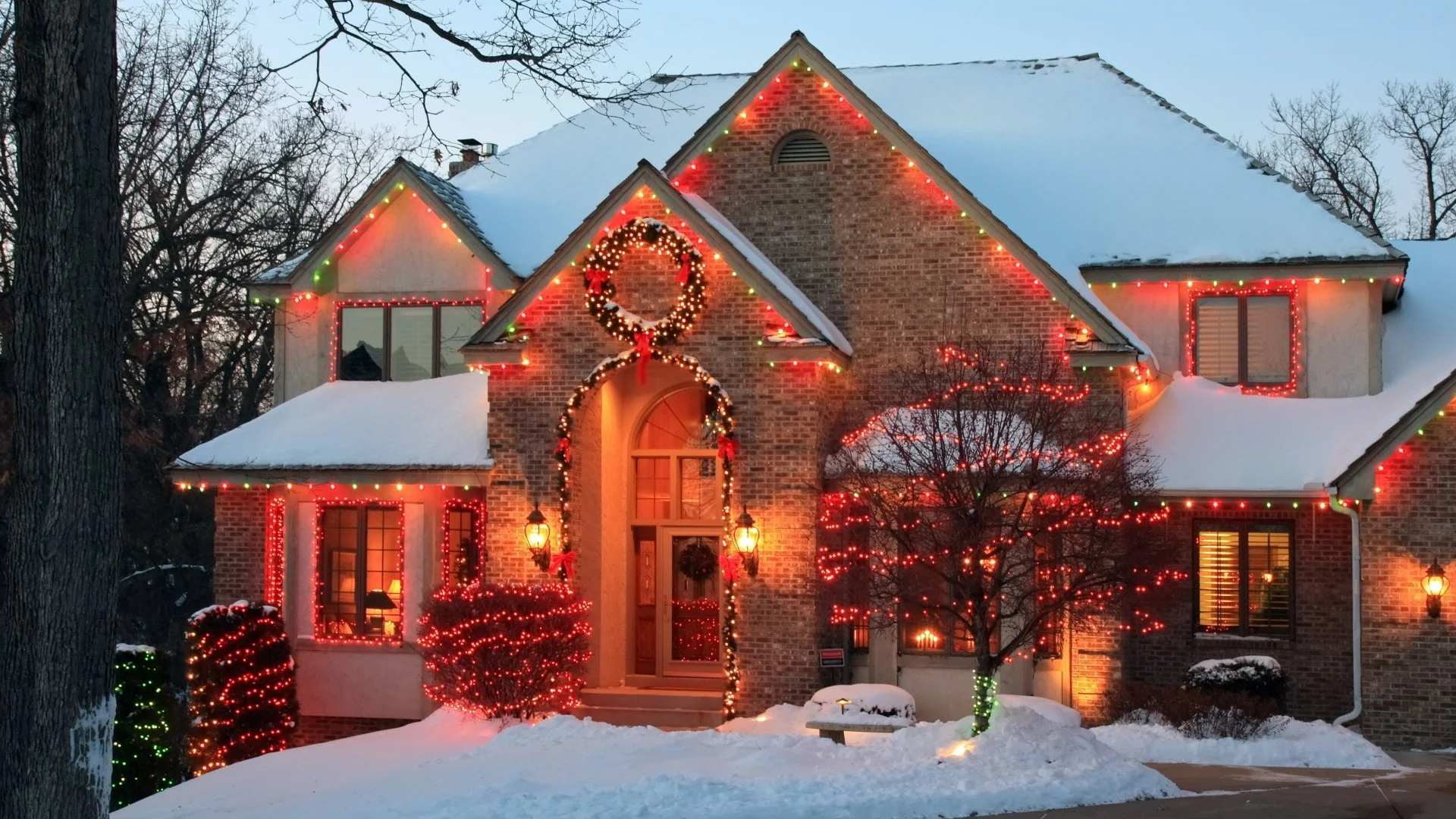 Classic White or Festive Color? Picking the Perfect Christmas Lights