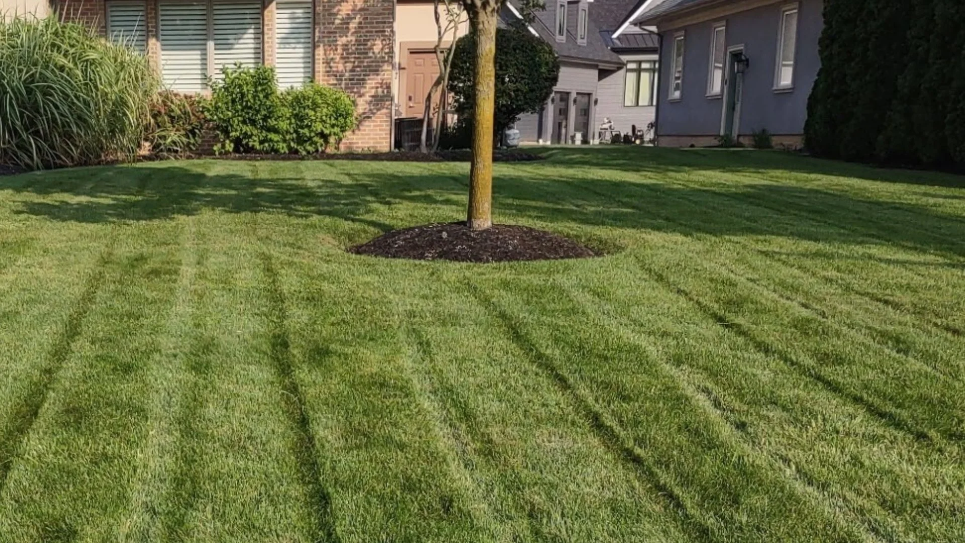 Can You Mow a Wet Lawn?