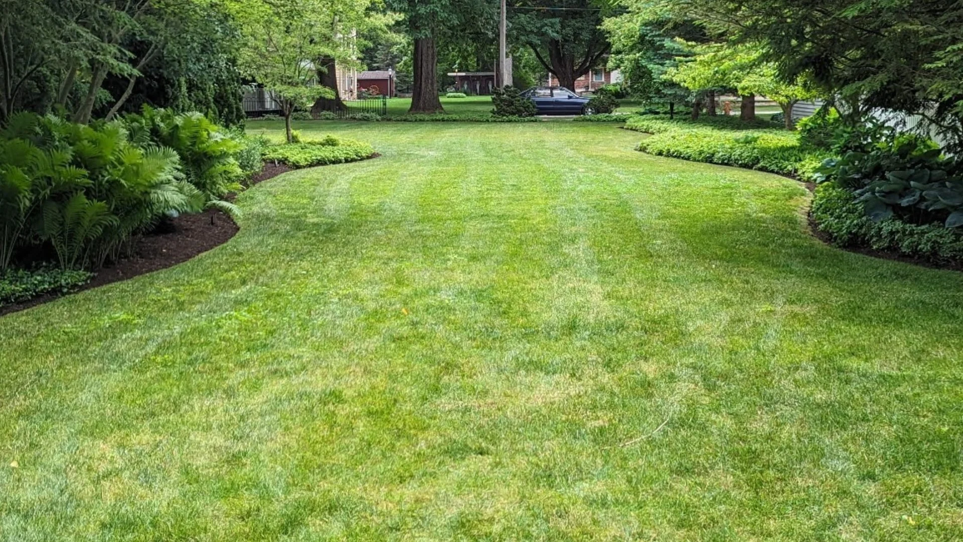 Don't Overlook the Importance of Spring Pre-Emergent Weed Control
