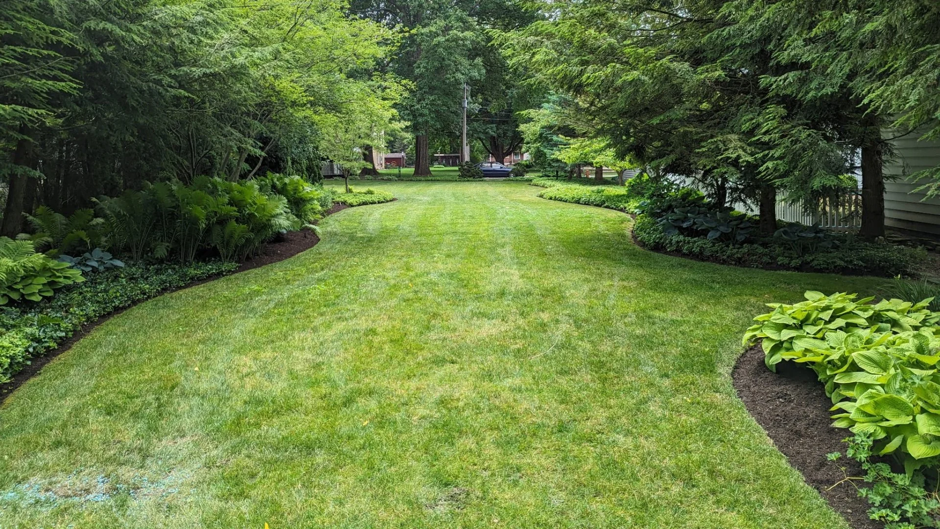 Strengthen Your Lawn This Fall With Professional Aeration