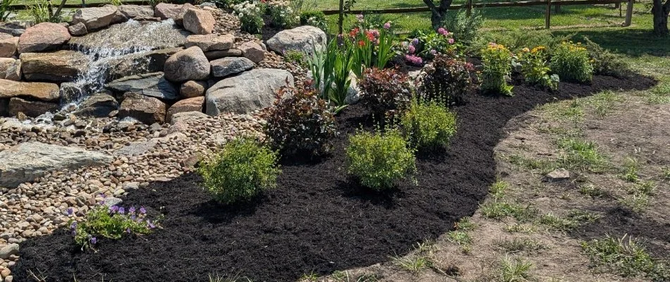 Black mulch in a landscape in Huron, OH, with small plants.