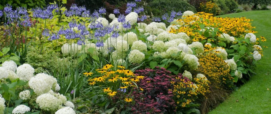 Colorful flowers in a landscape bed in Huron, OH.