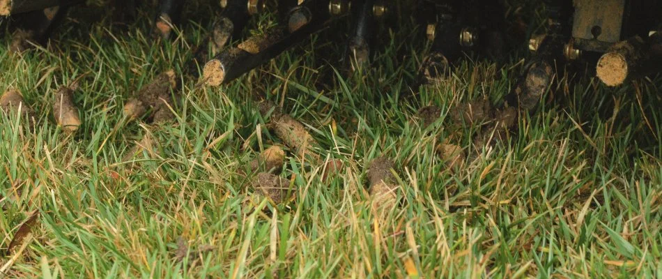 Aerator tines with soil from a lawn in Huron, OH.