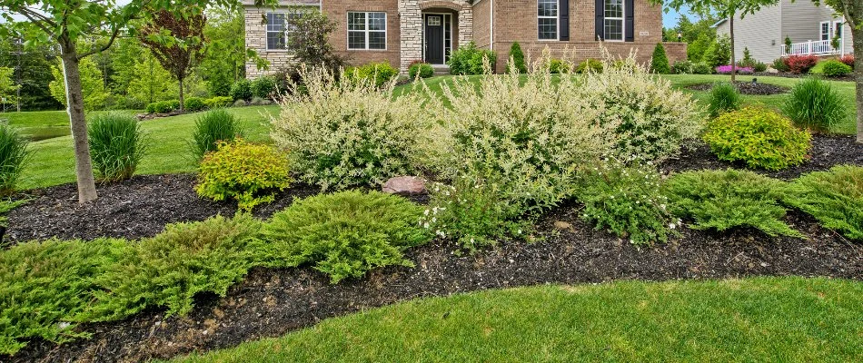 Front landscape bed in Marblehead, OH, with different plants and mulch.