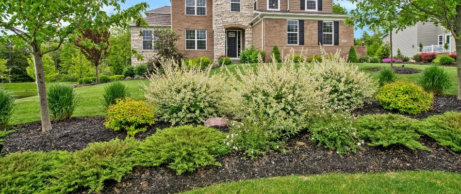 Front landscape bed in Sheffield Lake, OH, with mulch and different plants.