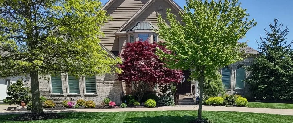 Front yard of a house in Huron, OH, with trees and shrubs.