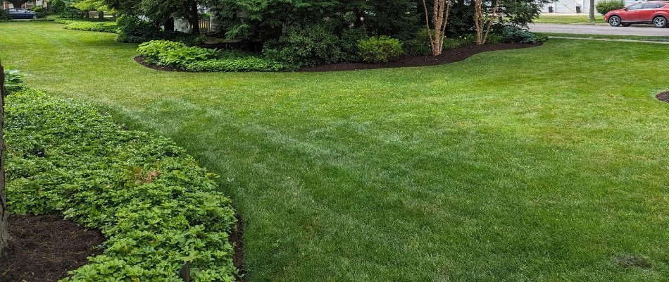 Green lawn with landscape beds in Sheffield Lake, OH.