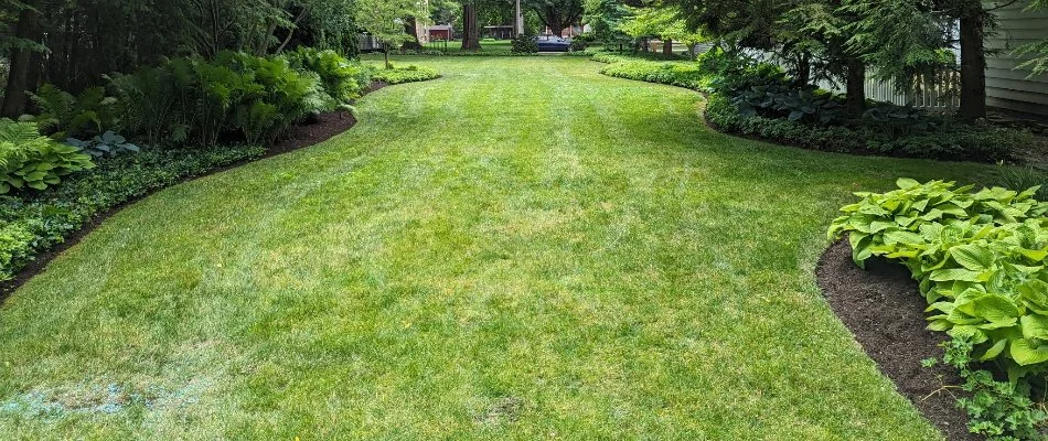 Healthy lush grass in Norwalk, OH.