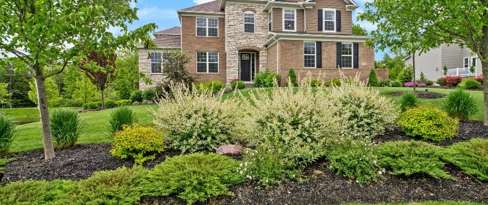 House in Avon Lake, OH, behind healthy trees and shrubs.
