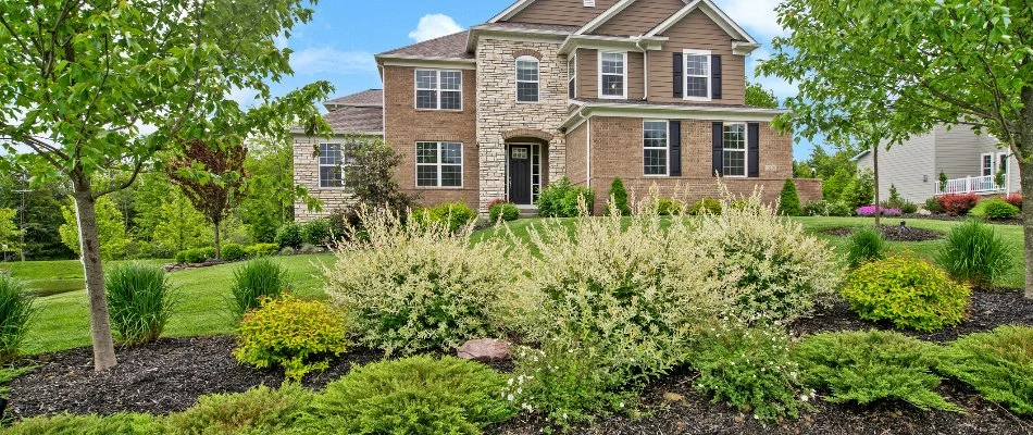 House in Westlake, OH, with lush trees and shrubs.