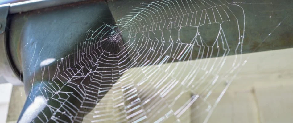 House in Kelleys Island, OH, with a spiderweb.