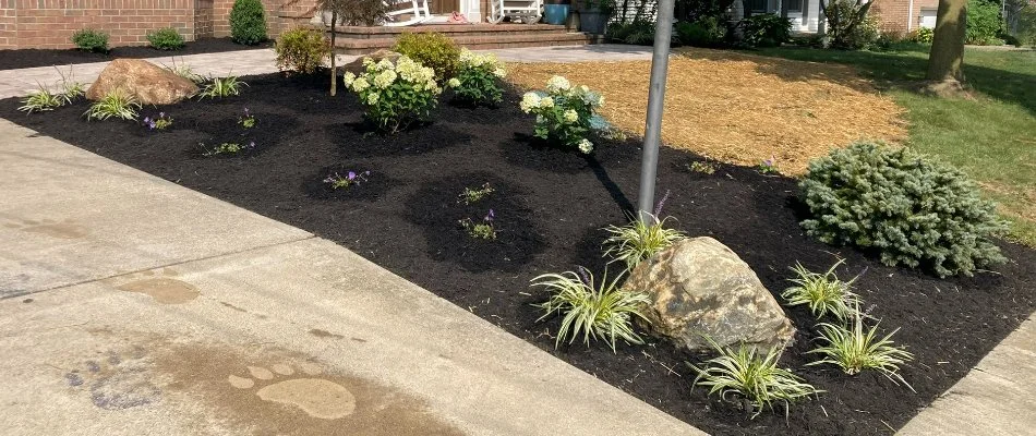 Landscape bed in Huron, OH, with mulch and flowers.