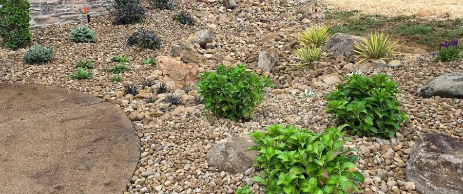 Landscape in Huron, OH, with rock ground cover and small green plants.