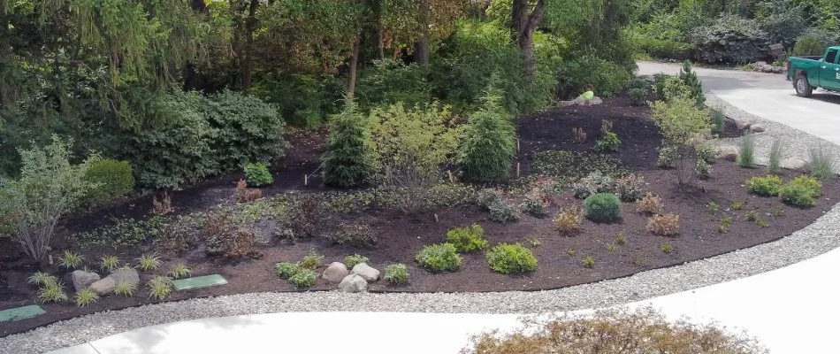 Landscape in Put-in-Bay, OH, with small trees and shrubs.