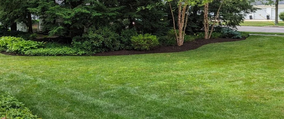 Lawn in Fremont, OH, next to a landscape with shrubs.