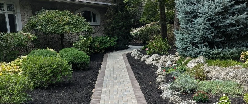 Lush trees and shrubs along a walkway in Bay Village, OH.