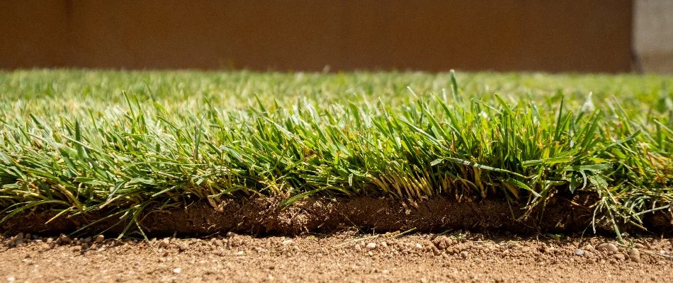 New sod on the ground in Huron, OH.