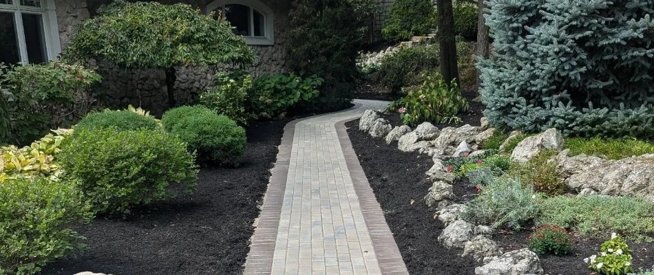 Shrubs along a walkway in Huron, OH.