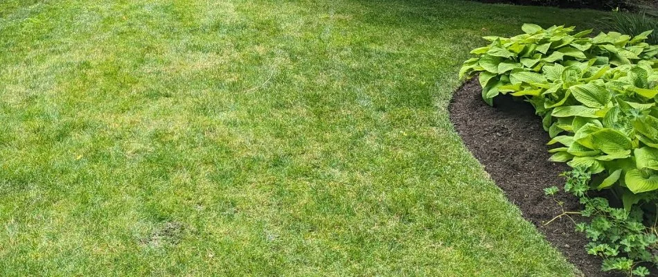 Softscapes beside a green lawn in Lorain, OH.