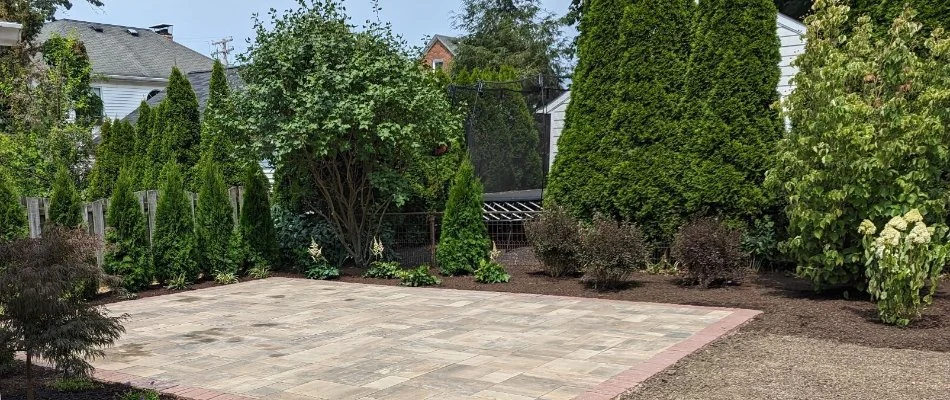 Tree and shrubs next to a patio in Norwalk, OH.
