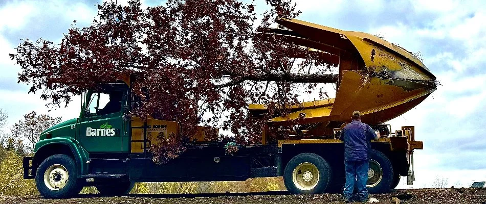 Truck with a tree in Sheffield Lake, OH, for transplant.