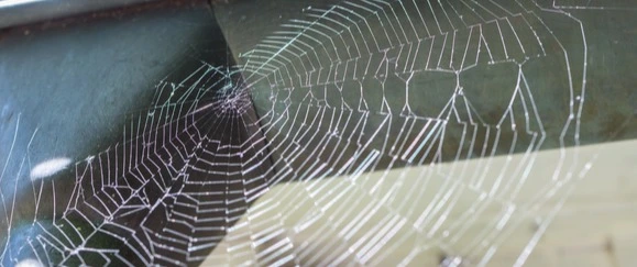House spider and its web on the floor in Huron, OH.